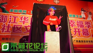 收入证明_展会门票收入(2)