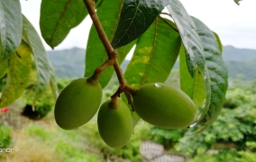 生活随拍