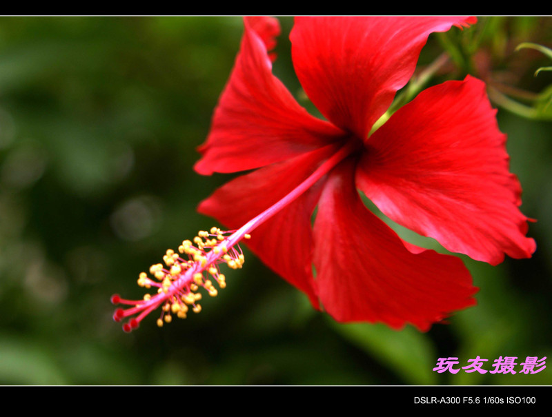 a7200199_s.jpg