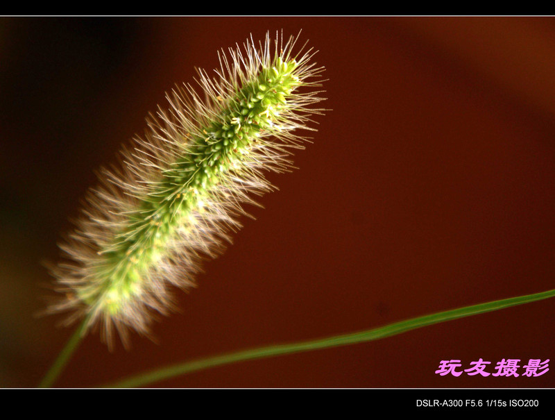a7200162_s.jpg