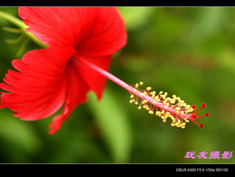 a7200178_s.jpg