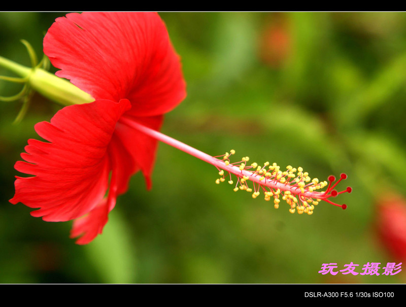 a7200185_s.jpg