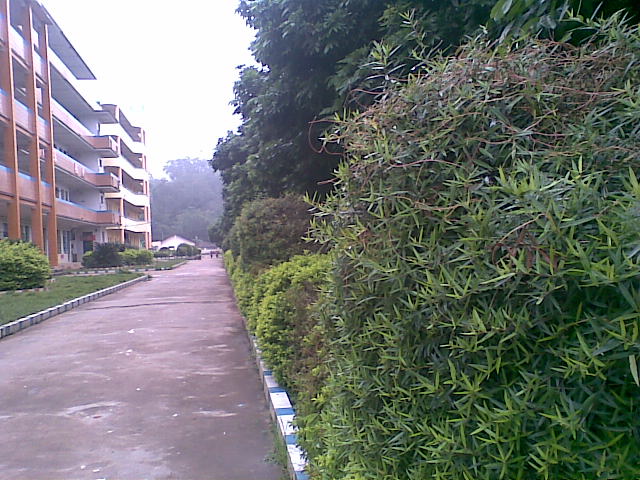 板中一瞥