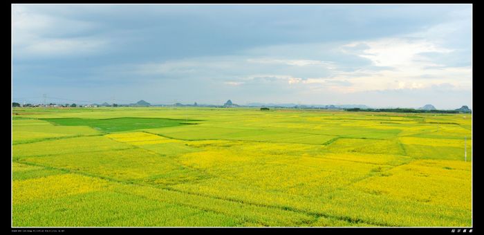 DSC_2404.jpg