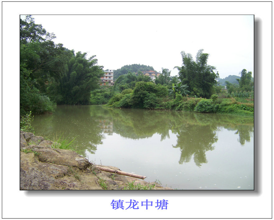 100_7958.jpg