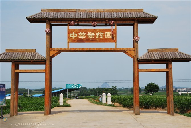 中华茉莉园大门