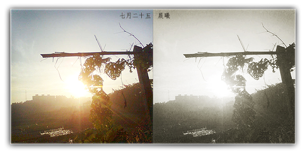 七月二十五号  晨曦.jpg