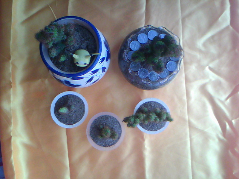 20100726B004.jpg