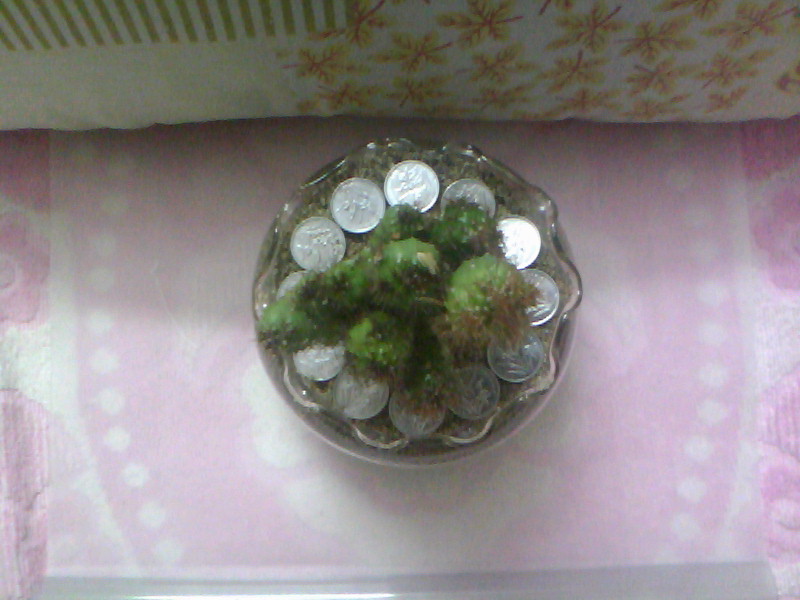 20100726D005.jpg