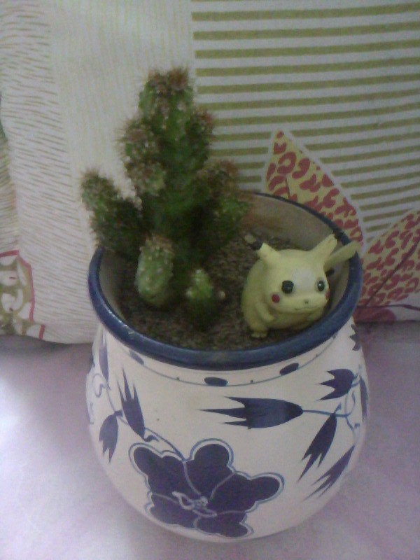 20100726D007.jpg