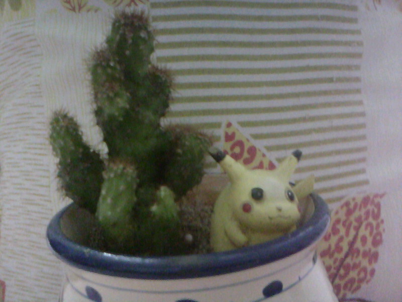 20100726D008.jpg