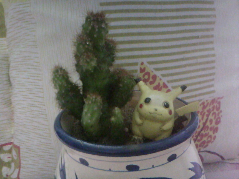 20100726D009.jpg