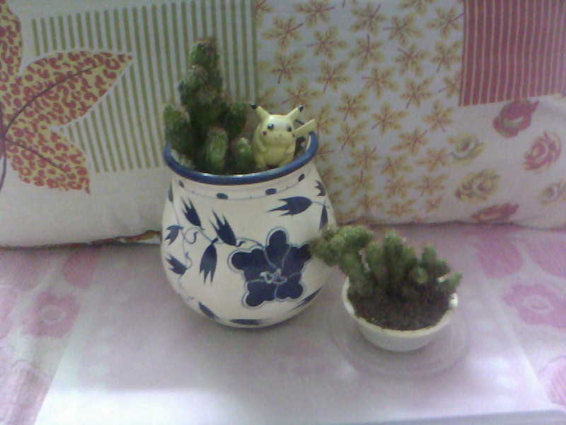 20100726D010.jpg