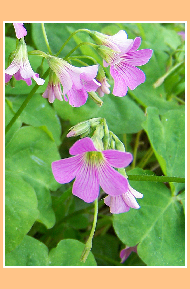 20106180449547.jpg