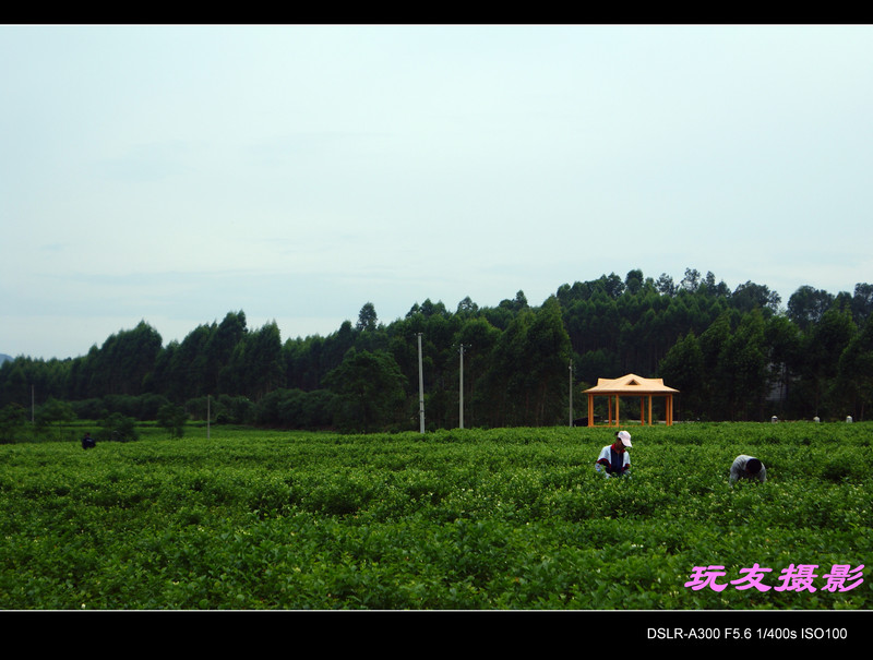 a7353763_s.jpg