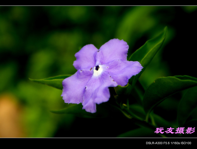 a7353960_s.jpg