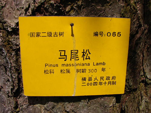 DSC02794.JPG