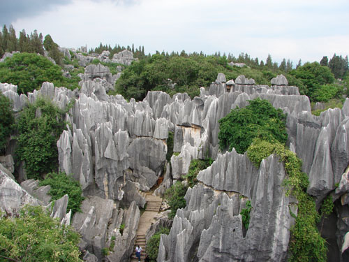 云南行 (372).JPG