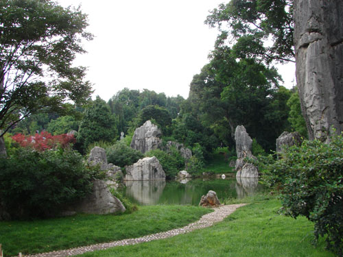 云南行 (400).JPG