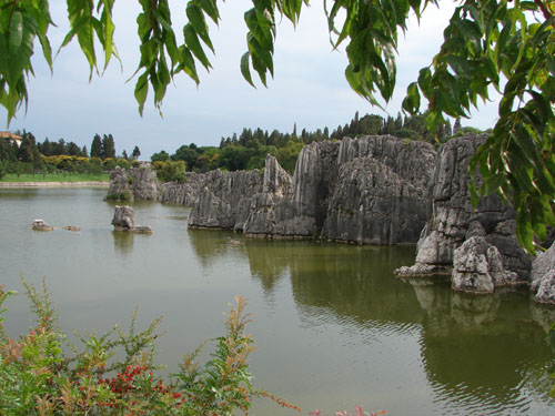 云南行 (441).JPG