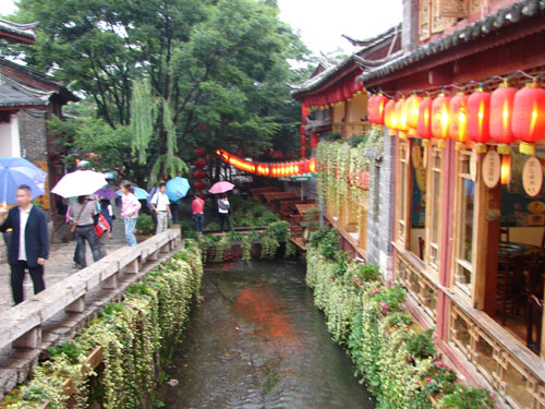 云南行 (900).JPG