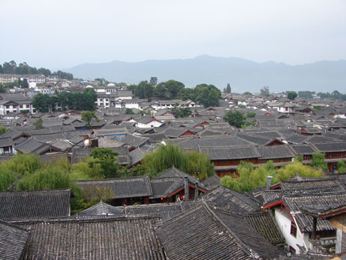 云南行 (973).JPG