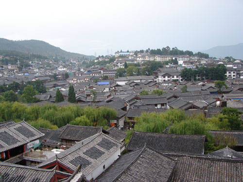 云南行 (974).JPG