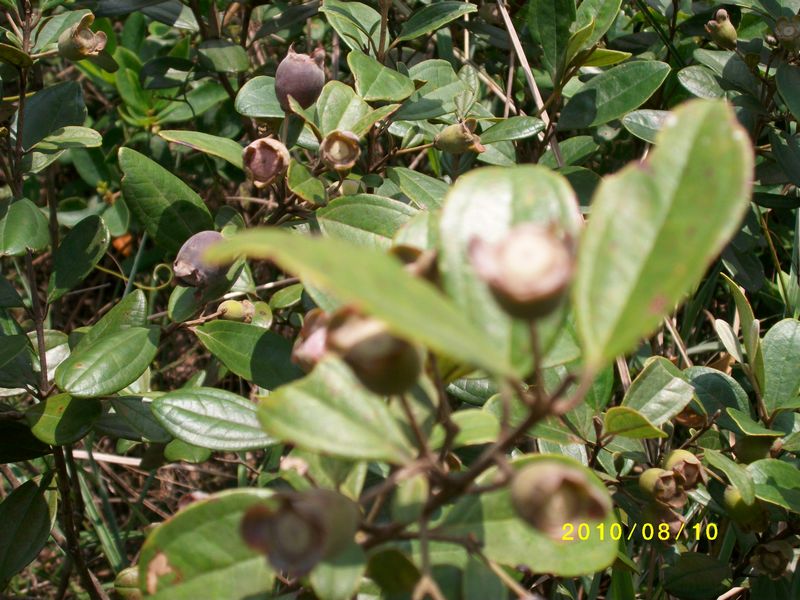 ALIM0547.JPG