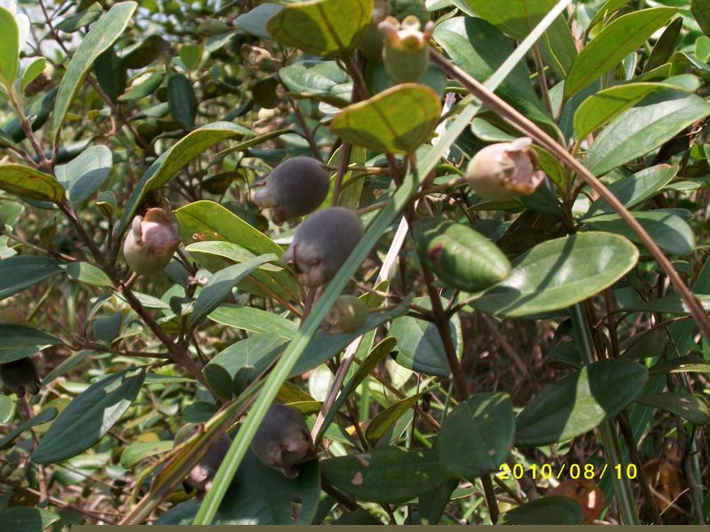 ALIM0548.JPG