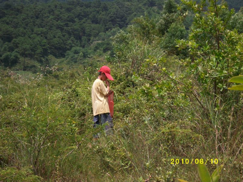 ALIM0550.JPG