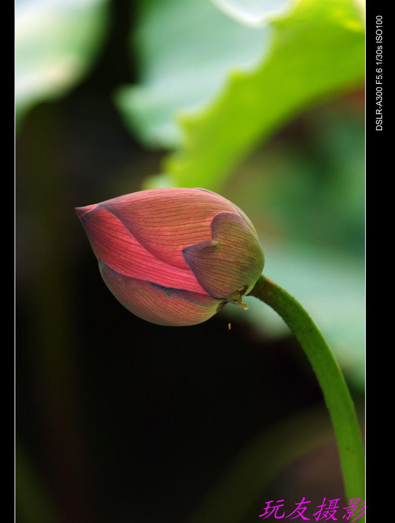 a7426639_s.jpg
