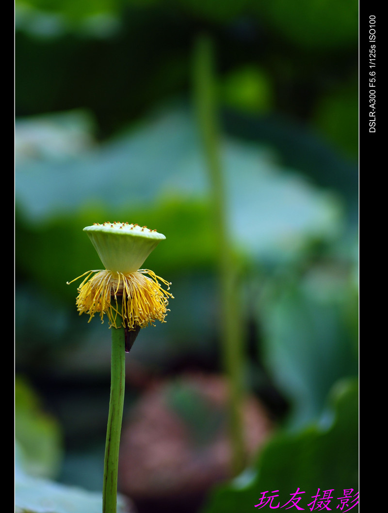 a7426723_s.jpg
