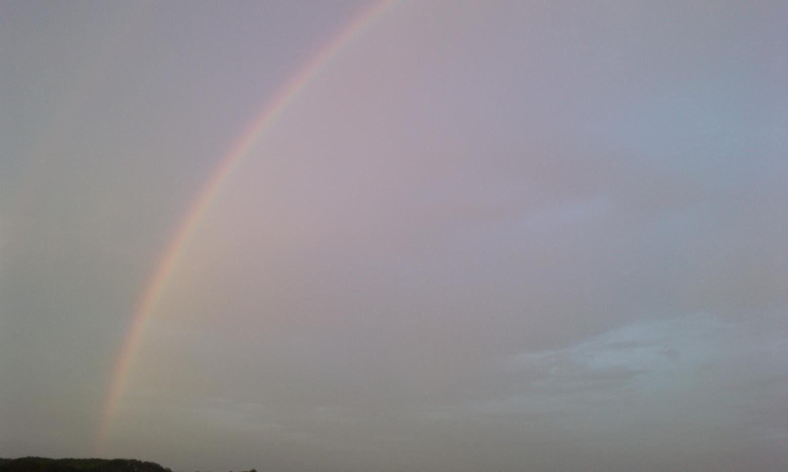 IMAG0079.jpg