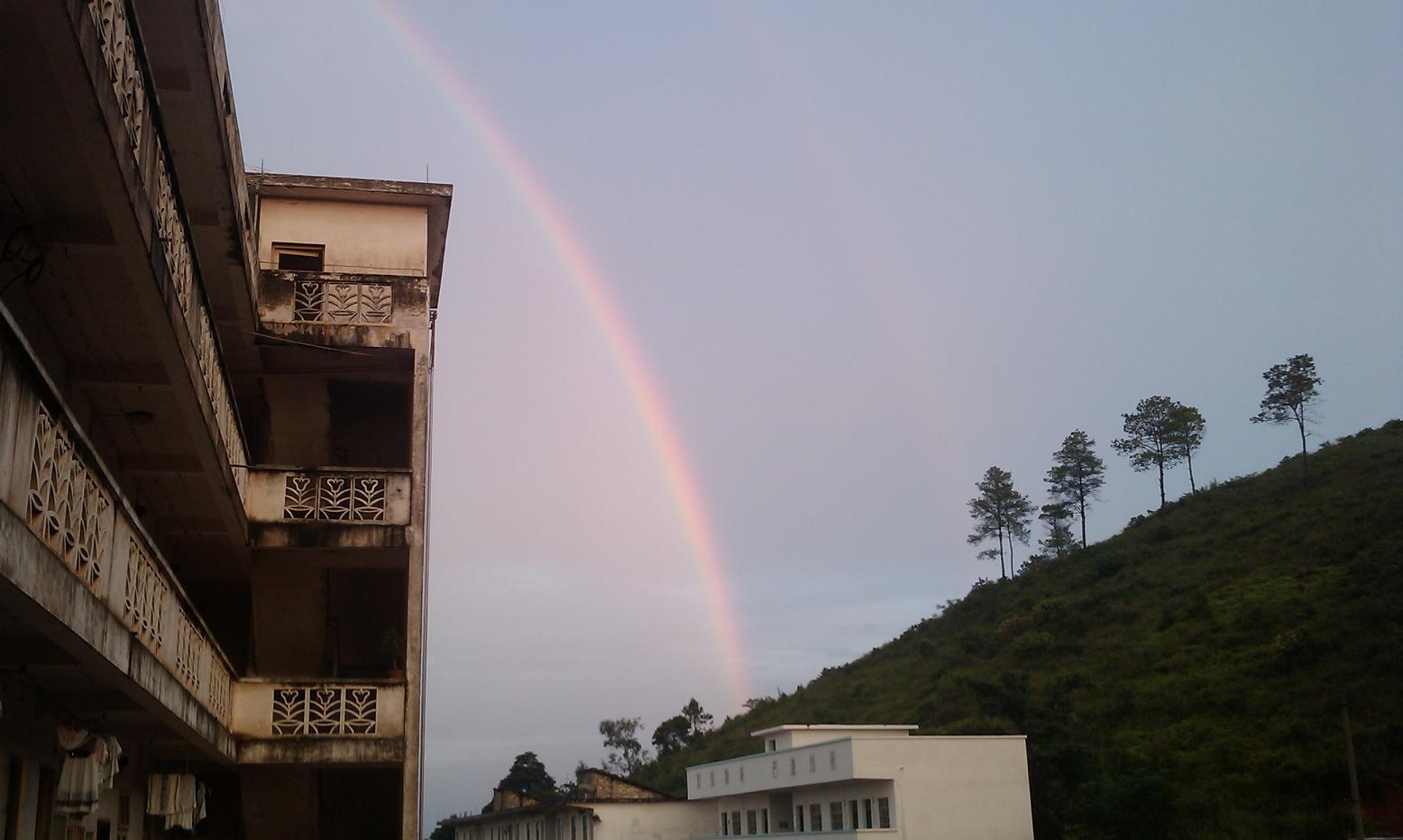 IMAG00771.JPG