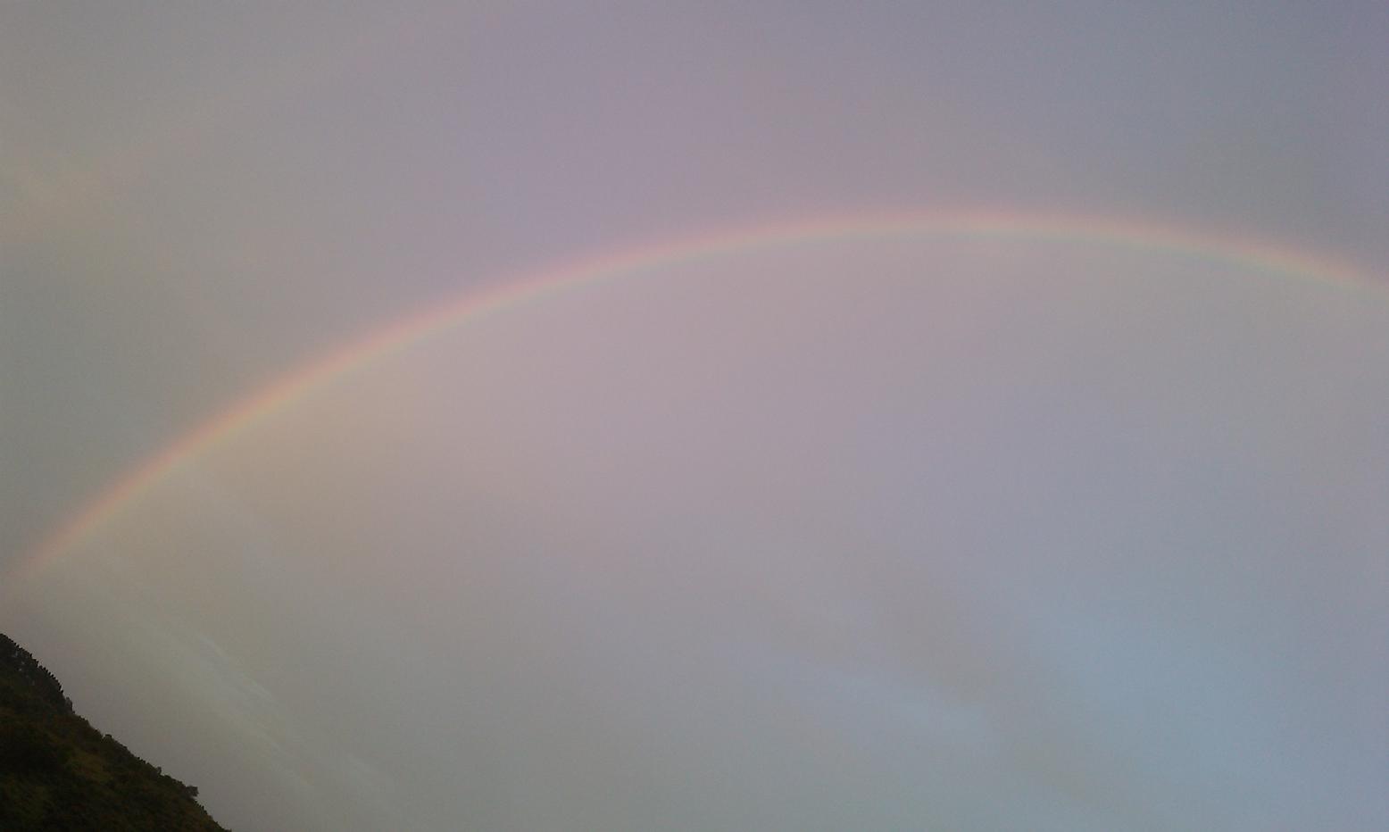 IMAG00801.JPG