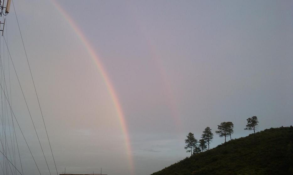 IMAG00781.JPG