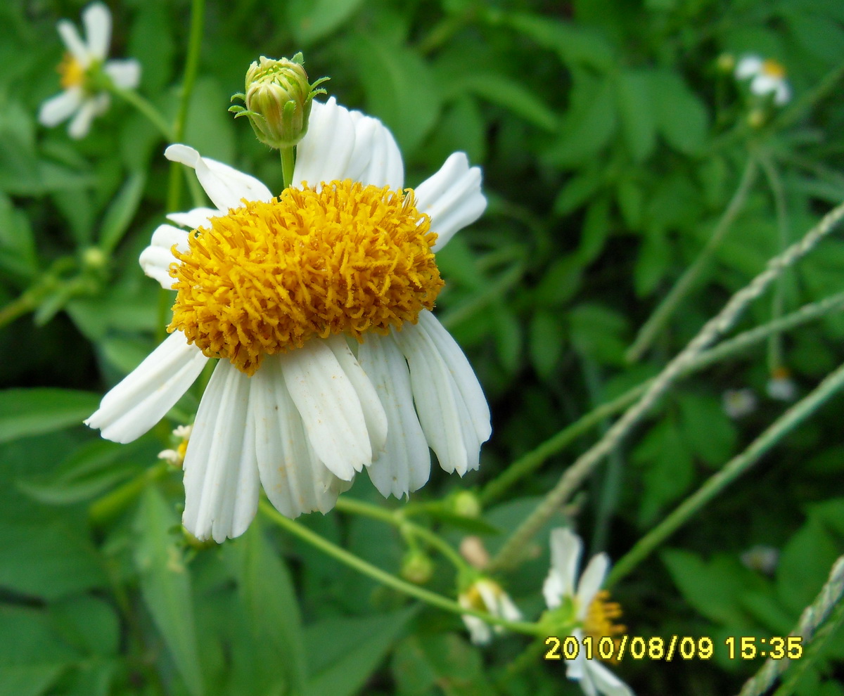 SDC14552.jpg