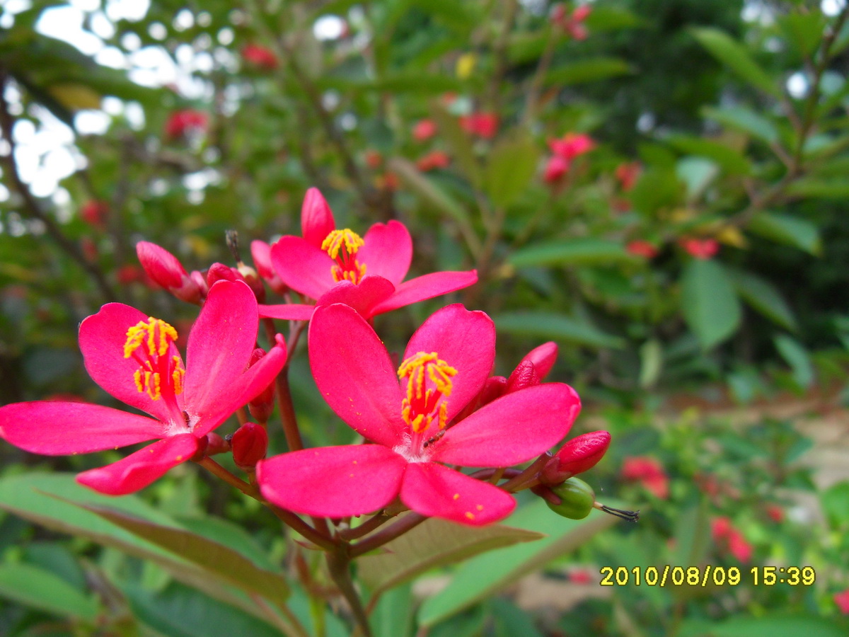 SDC14567.jpg