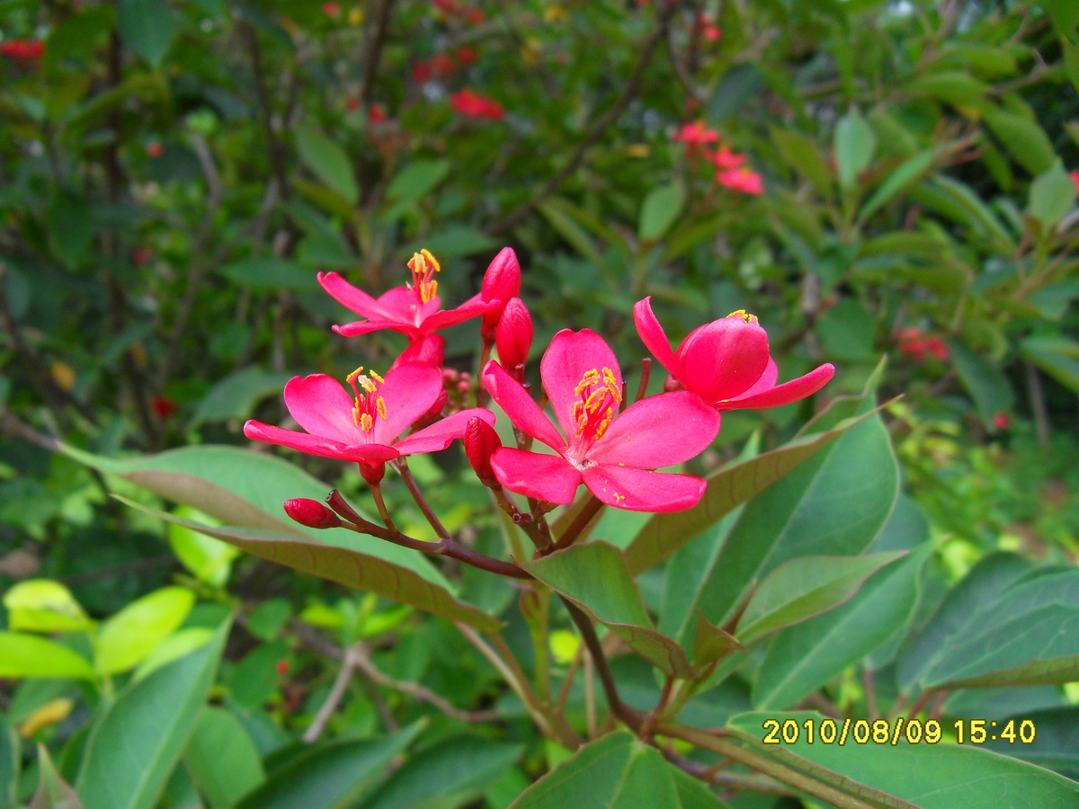 SDC14570.jpg