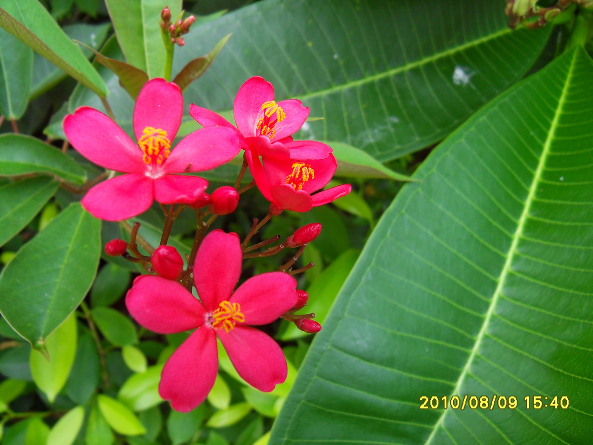 SDC14576.jpg