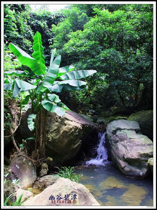 DSCF0625.jpg