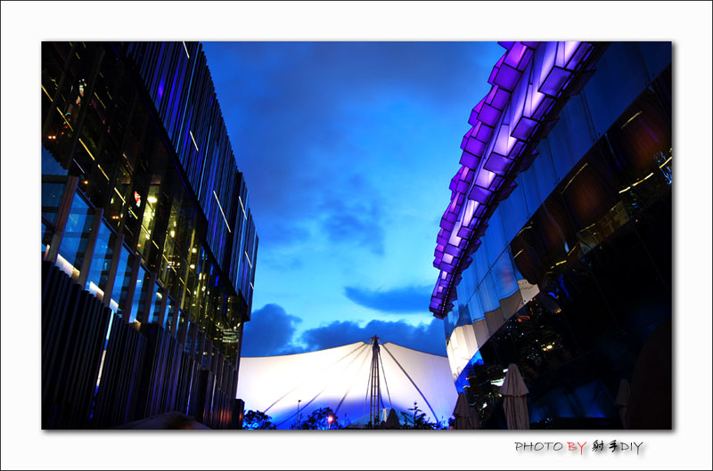 DSC_2336.jpg