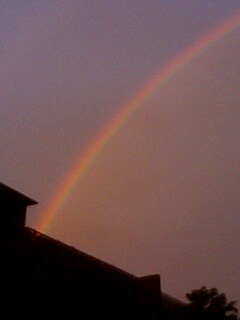 IMG0044A.jpg