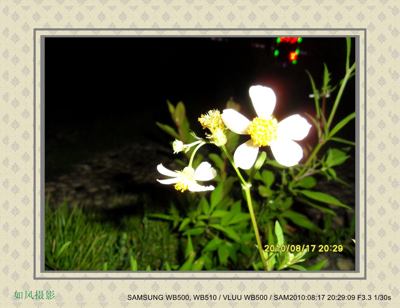 SDC14817_conew1.jpg