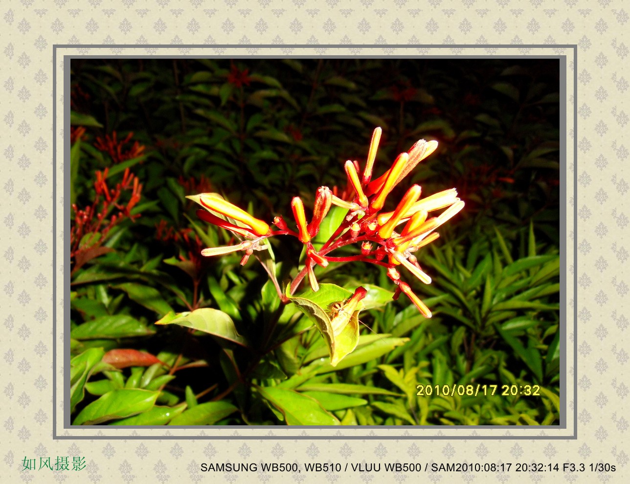 SDC14824_conew1.jpg