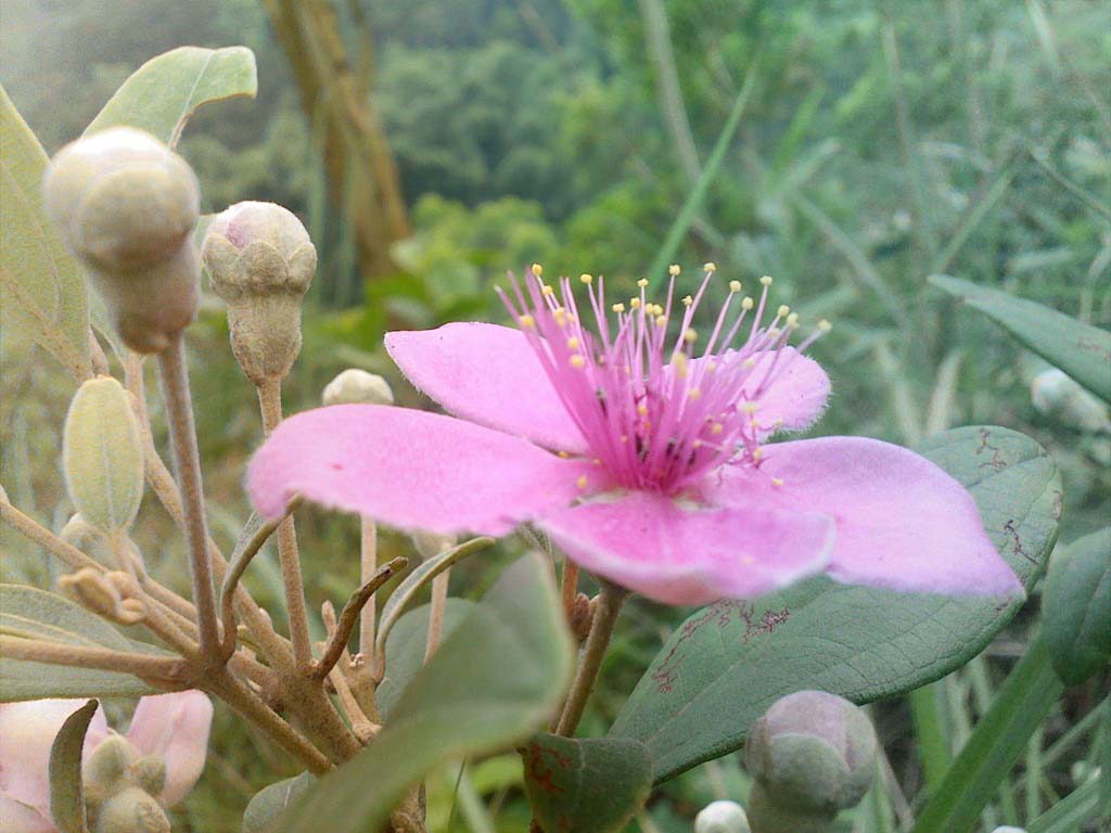 20100603059.jpg
