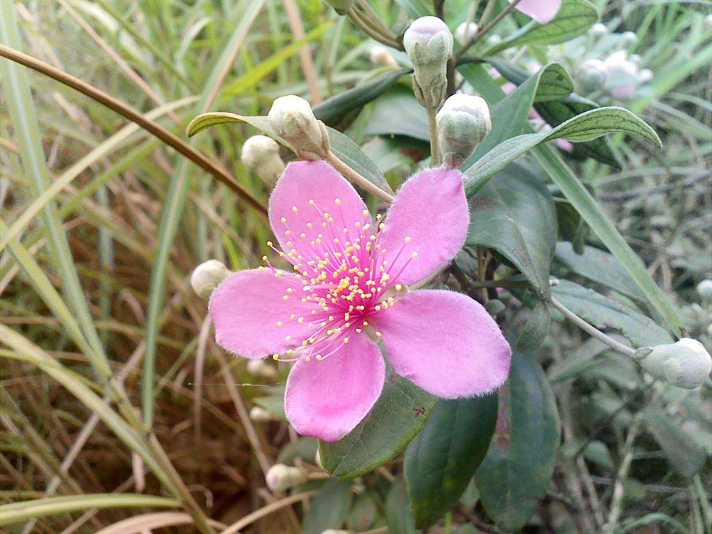 20100603060.jpg