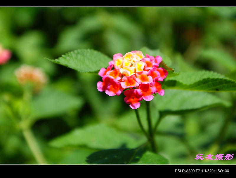 a7488560_s.jpg
