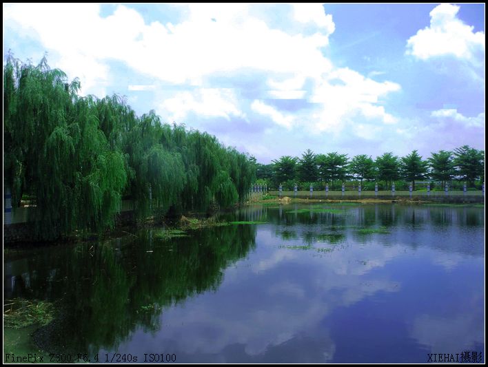 DSCF7486.jpg