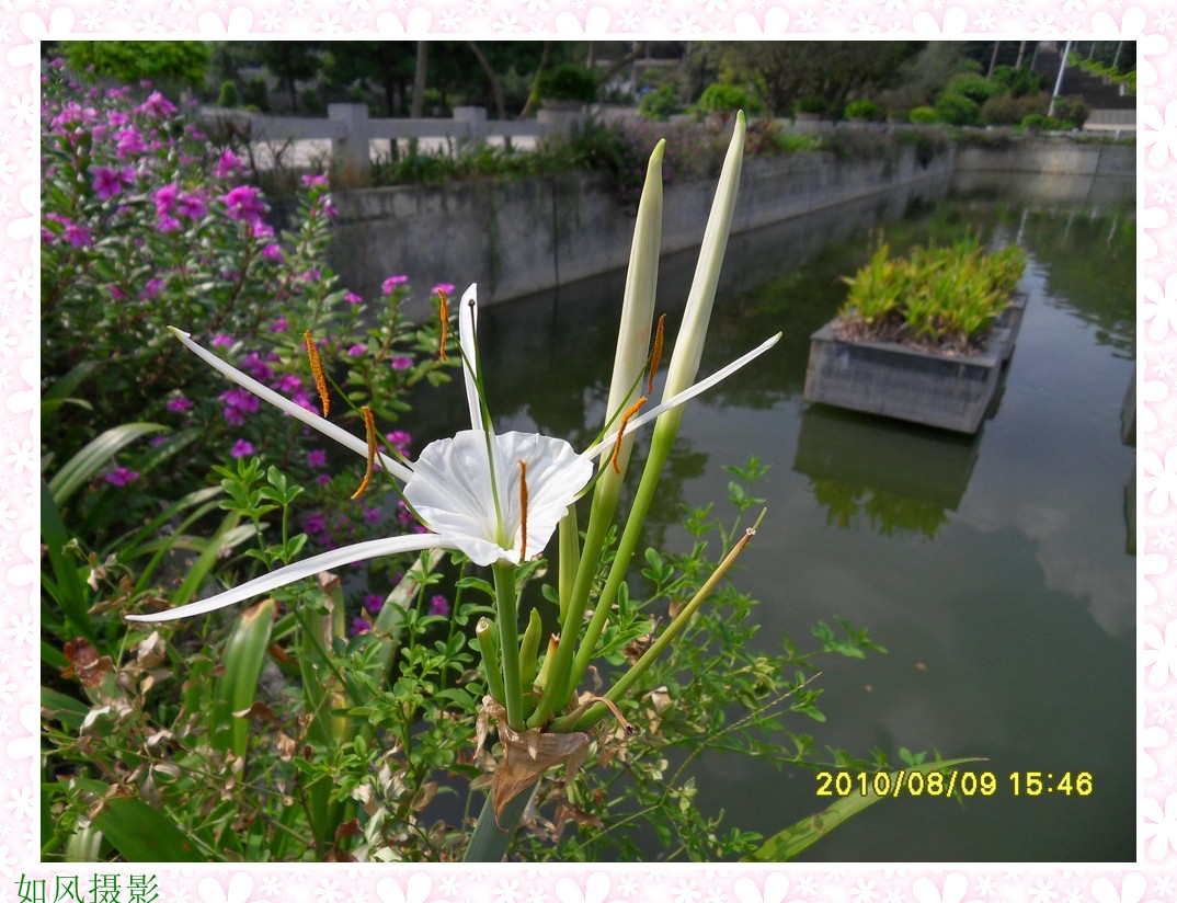 SDC14598_conew1.jpg
